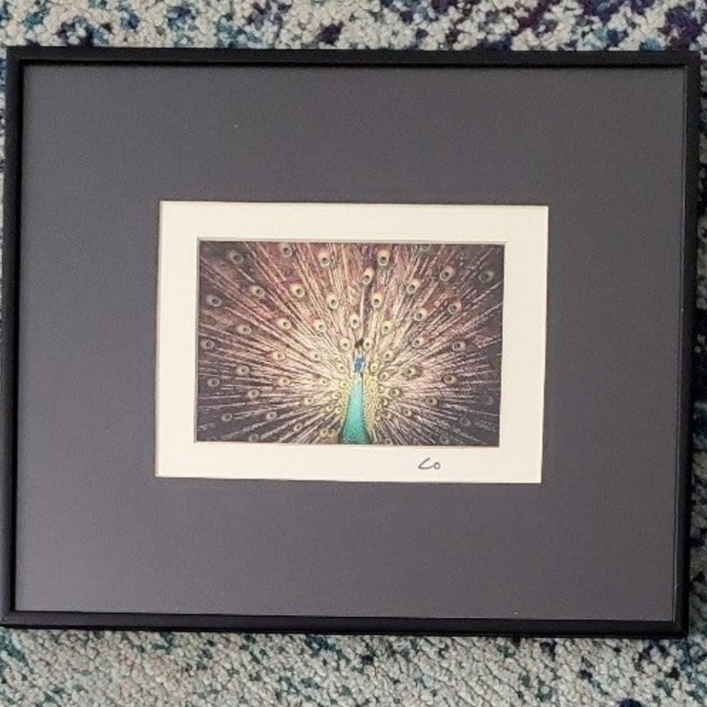 Wall art peacock ready to hang